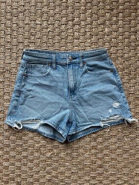 American Eagle Outfitters Light Blue High-Rise Mom Shorts